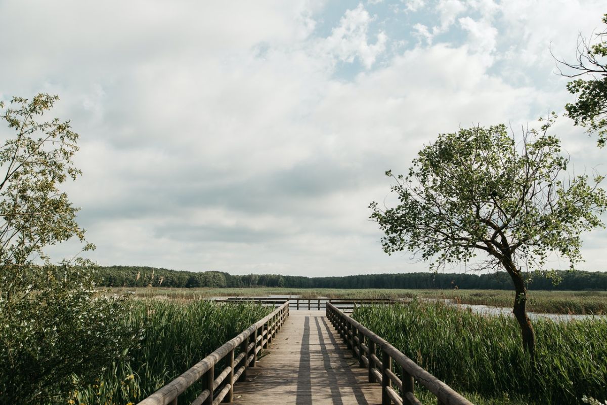 clouds over a Wooden Boardwalk