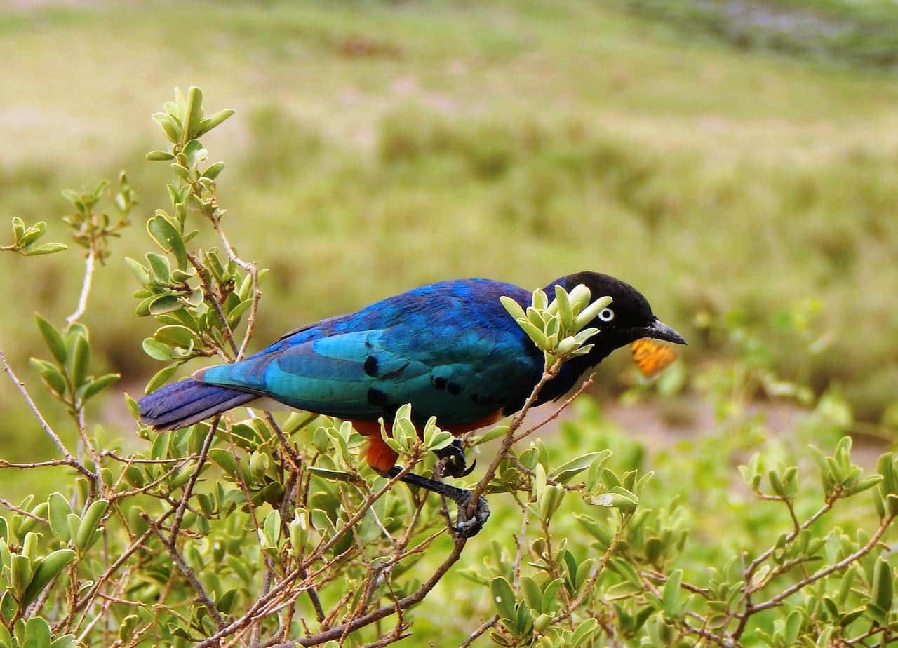  Transforming Your Outdoor Space Into a Thriving Oasis 