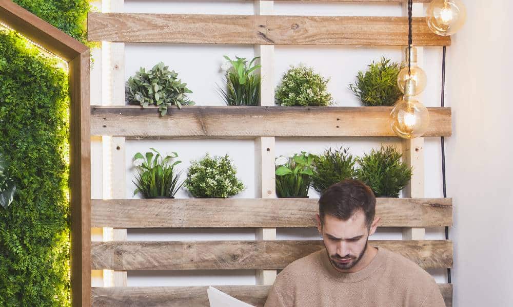 Vertical Gardens - Greening Up Small Spaces