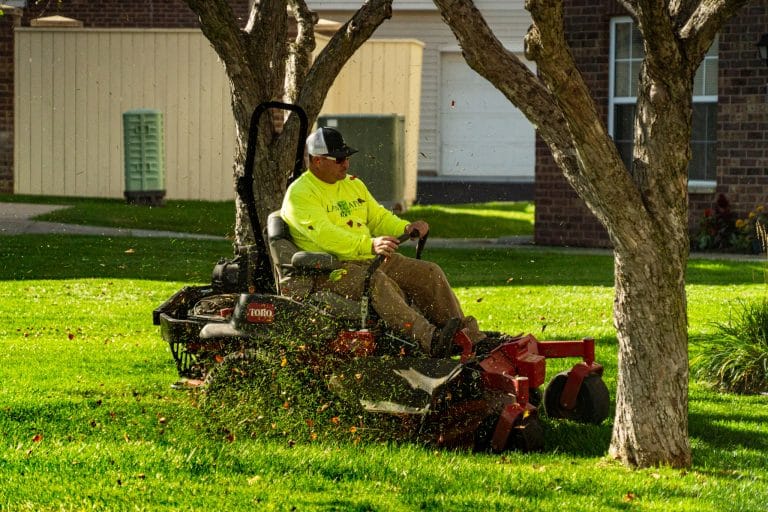 Landscaping design maintenance team at work