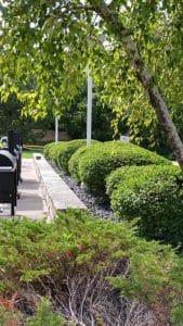 Landscaping Design with hedges, pavers and sidewalk