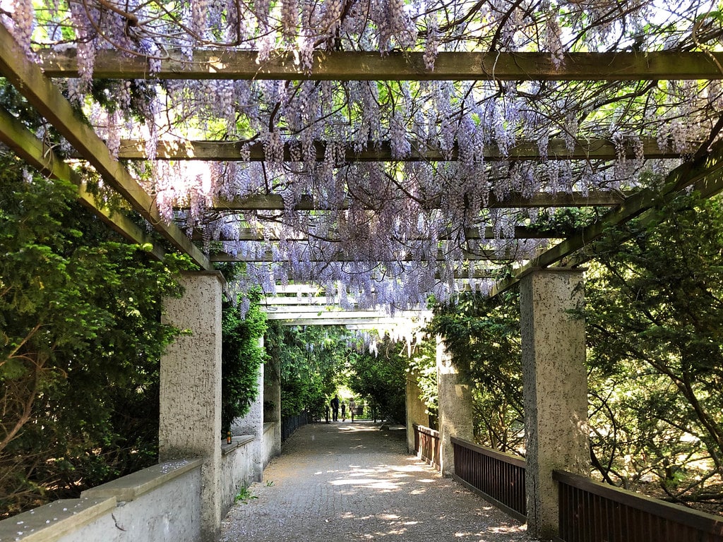 Back Yard Garden Design Inver Grove Heights MN