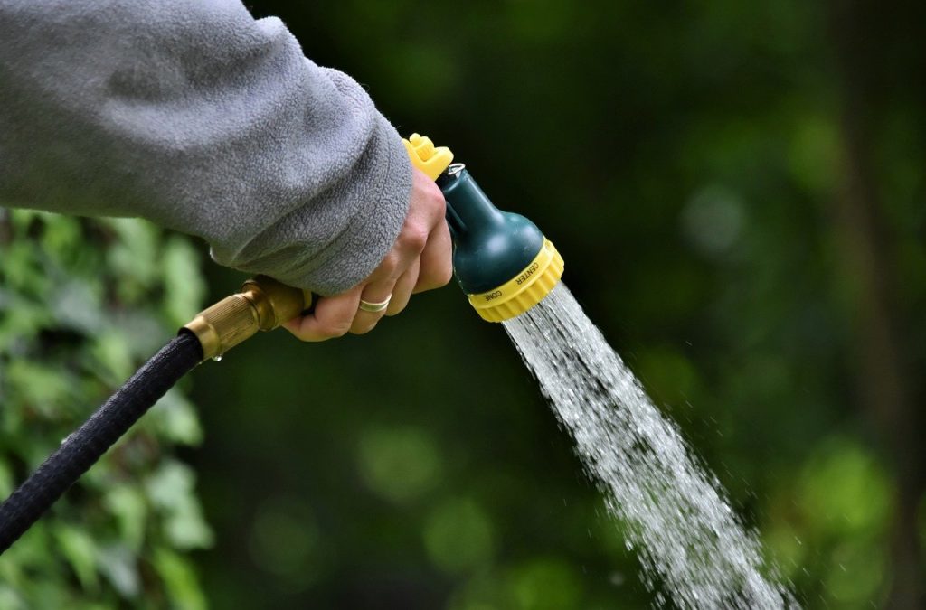 Woman using a hose to water her lawn When To Water My Landscaping
