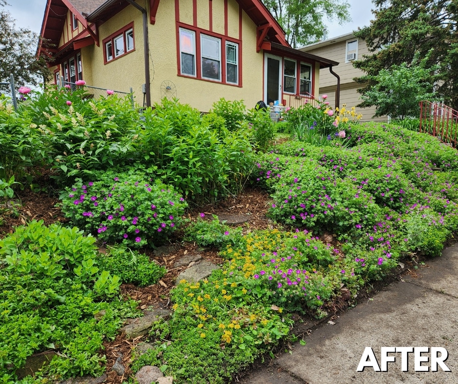 Lawn Maintenance Inver Grove Heights, MN Hearts & Hammers After Residential landscaping projects