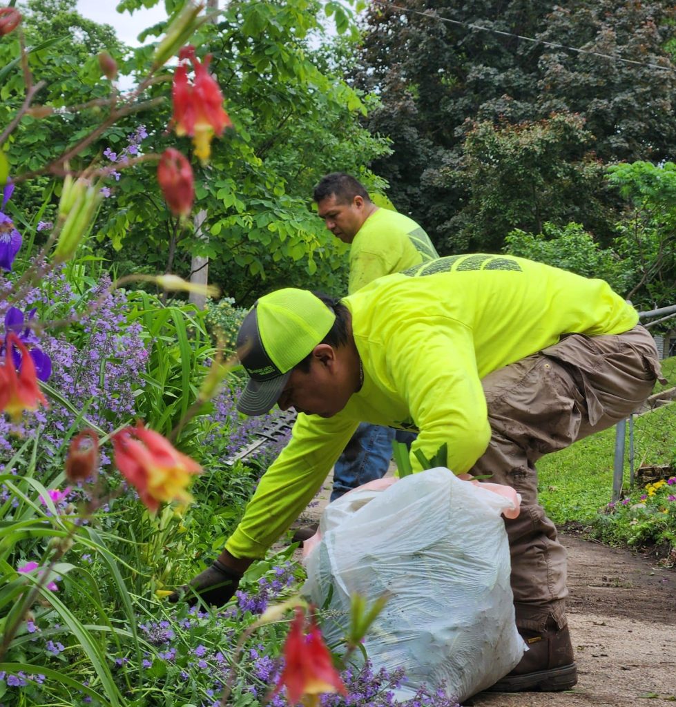 Residential Landscaping Around House Grove Heights, MN