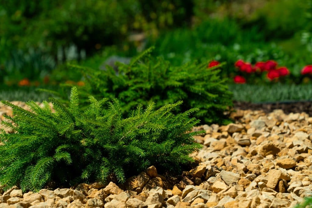 Woodbury Backyard Landscaping