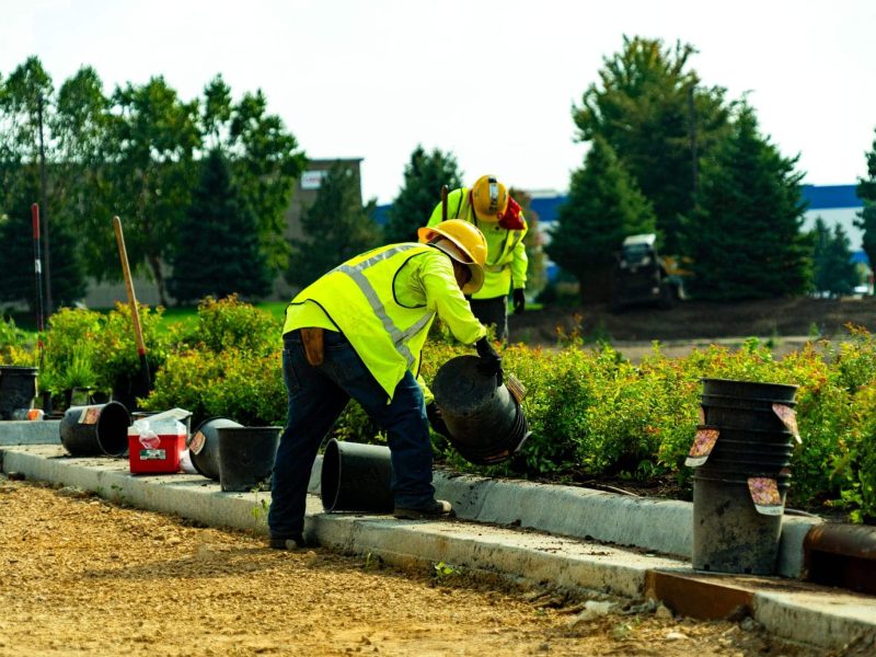 landscape design services albertville