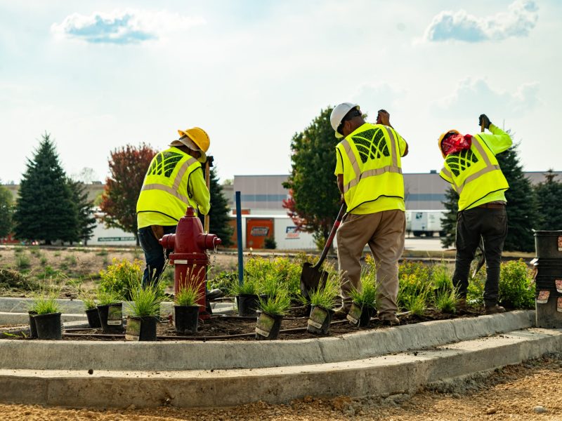 Commercial Landscape Management